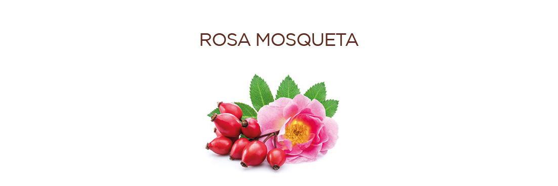 ROSA MOSQUETA2